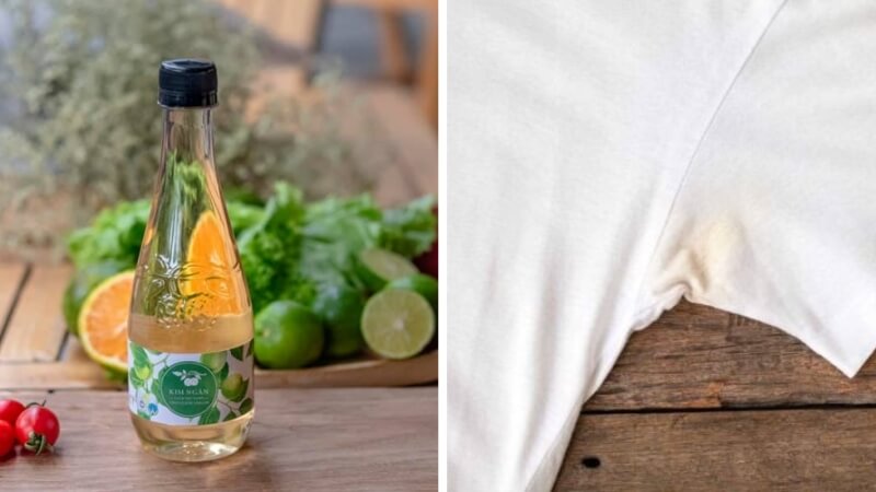 Dùng giấm ăn – cách tẩy ố tự nhiên, an toàn cho vải Dùng giấm ăn – cách tẩy ố tự nhiên, an toàn cho vải