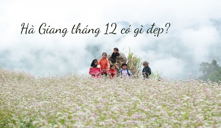 Hà Giang tháng 12 có gì đẹp? Kinh nghiệm du lịch Hà Giang tháng 12