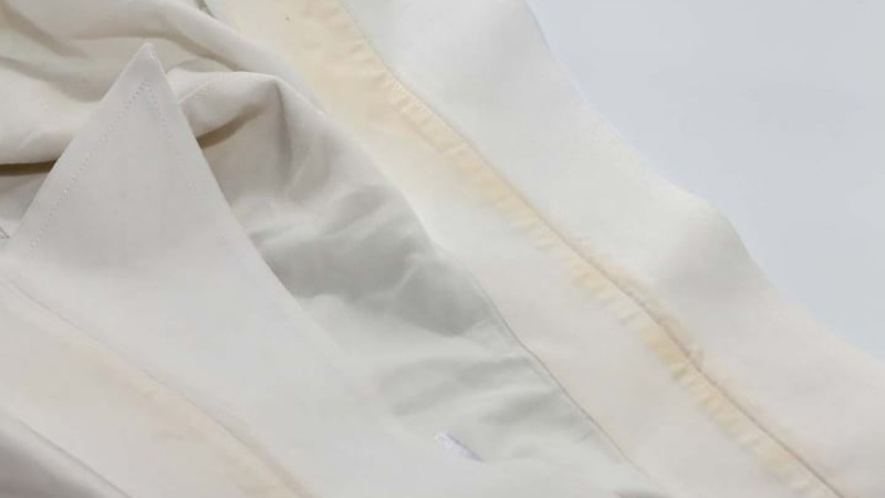 Cổ áo bị ố vàng có thể do mồ hôi và dầu nhờn