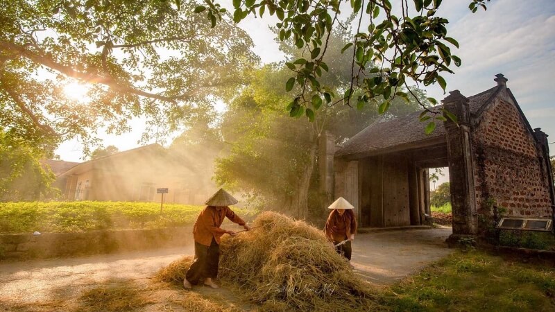 Làng cổ Đường Lâm