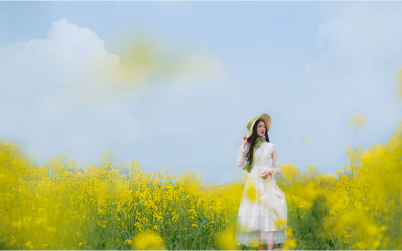 Mộc Châu – mùa hoa cải trắng và dã quỳ vàng Mộc Châu – mùa hoa cải trắng và dã quỳ vàng