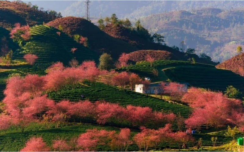 Lý do nên du lịch miền Bắc tháng 12 Lý do nên du lịch miền Bắc tháng 12