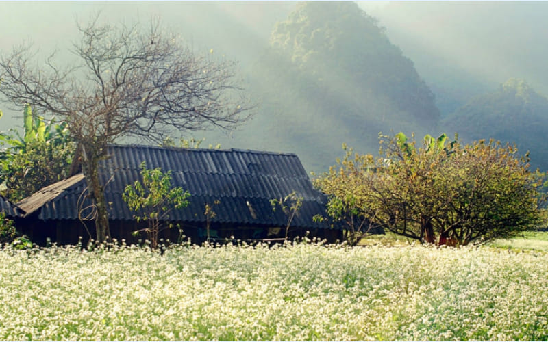 Hà Giang tháng 12 đẹp như tranh Hà Giang tháng 12 đẹp như tranh