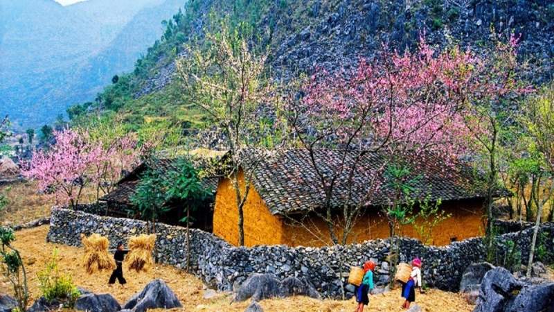 Hà Giang mùa xuân