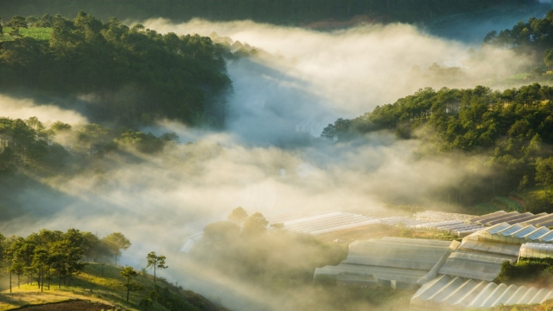 Mùa mưa Đà Lạt mang không khí mát mẻ, trong lành và khung cảnh lãng mạn phủ sương Mùa mưa Đà Lạt mang không khí mát mẻ, trong lành và khung cảnh lãng mạn phủ sương