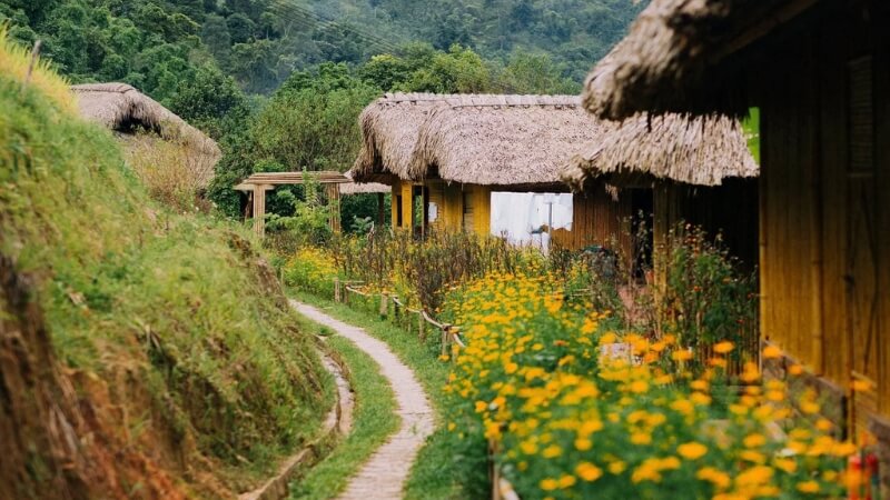 Một số khách sạn, homestay cực “chất” tại Hà Giang Một số khách sạn, homestay cực “chất” tại Hà Giang