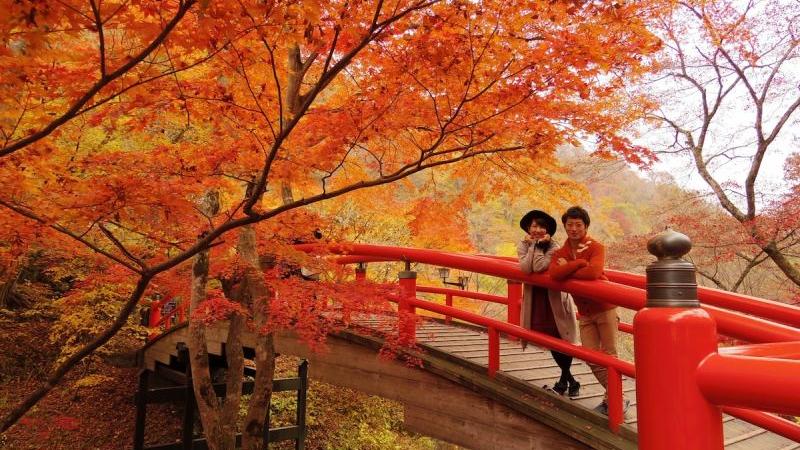 Những điểm ngắm lá đỏ đẹp nhất Nhật Bản Những điểm ngắm lá đỏ đẹp nhất Nhật Bản