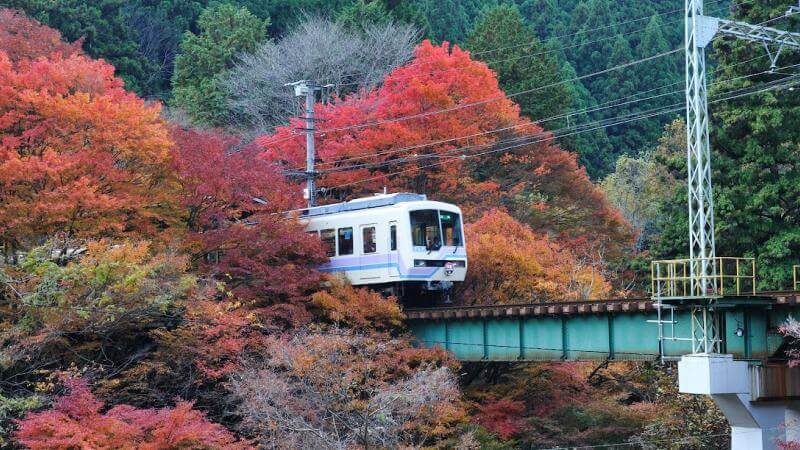 Mẹo tiết kiệm khi du lịch Nhật mùa thu Mẹo tiết kiệm khi du lịch Nhật mùa thu