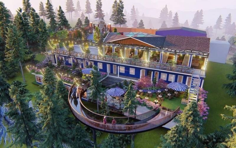 Điểm ngắm rừng thông và săn mây lý tưởng, view cực chill giữa lưng đèo Prenn