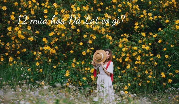 12 mùa hoa Đà Lạt: Lịch nở hoa các tháng & địa điểm check-in