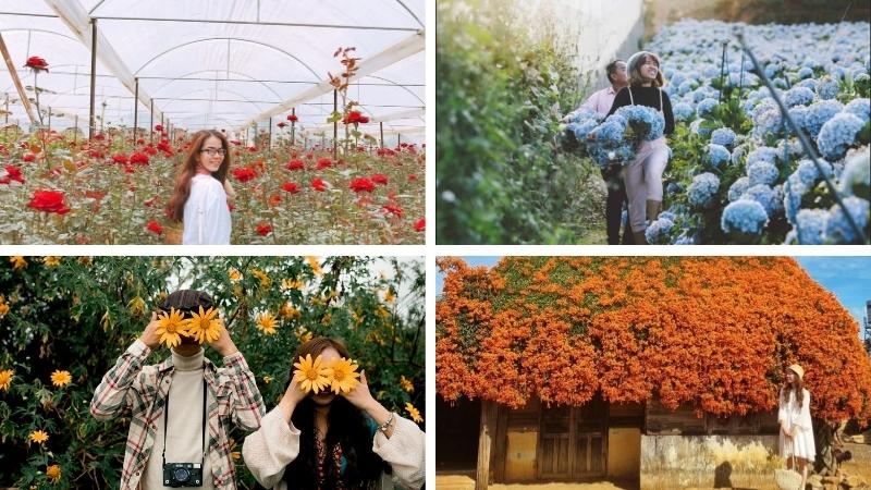 Mùa mưa Đà Lạt từ tháng 5 đến hết tháng 10