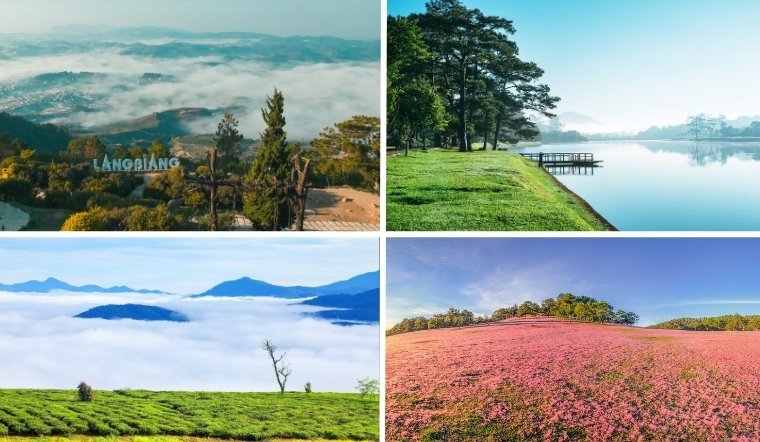 Những cảnh đẹp nhất ở Đà Lạt không nên bỏ lỡ khi đi du lịch