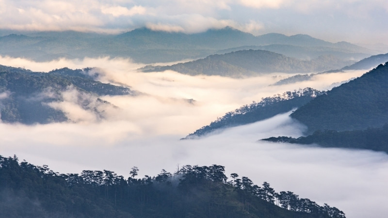 Đồi Đa Phú là điểm săn mây lý tưởng nổi tiếng với khoảnh khắc bình minh rực rỡ