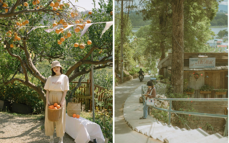 Mùa thu trên Đà Lạt