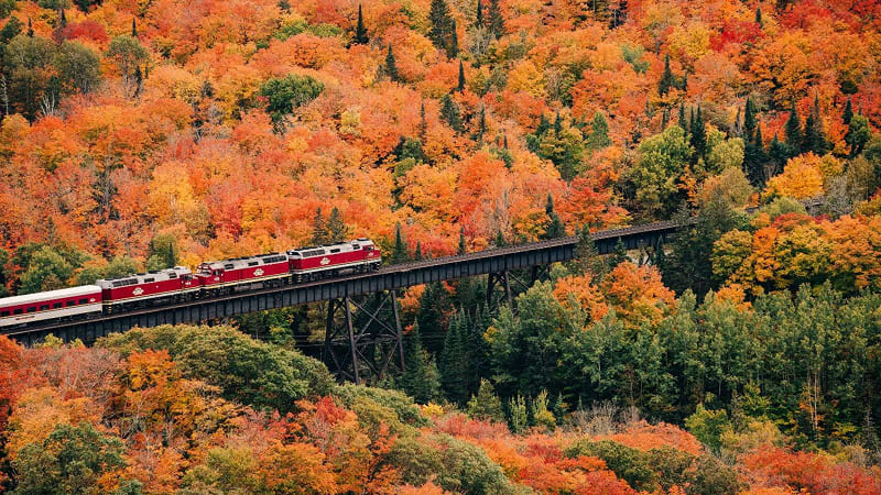 Cung đường Thu tại Canada