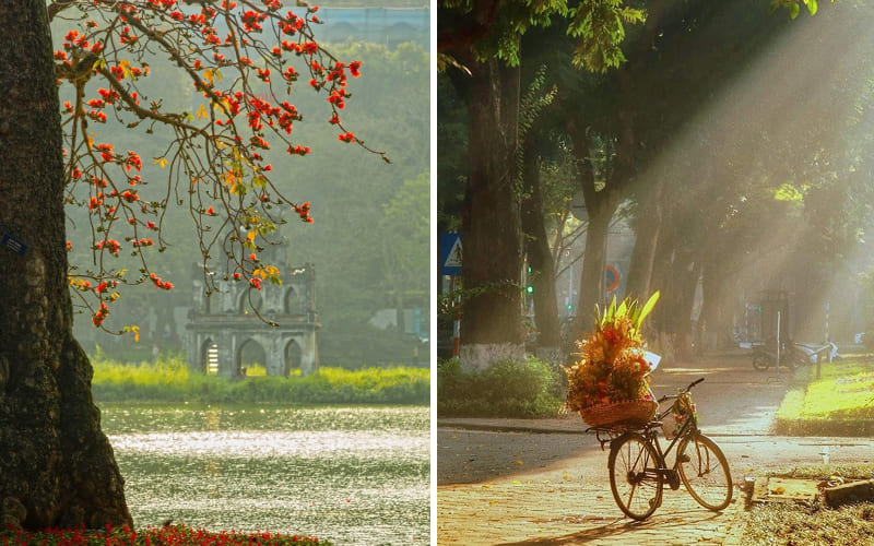 Mùa thu Hà Nội cực đẹp
