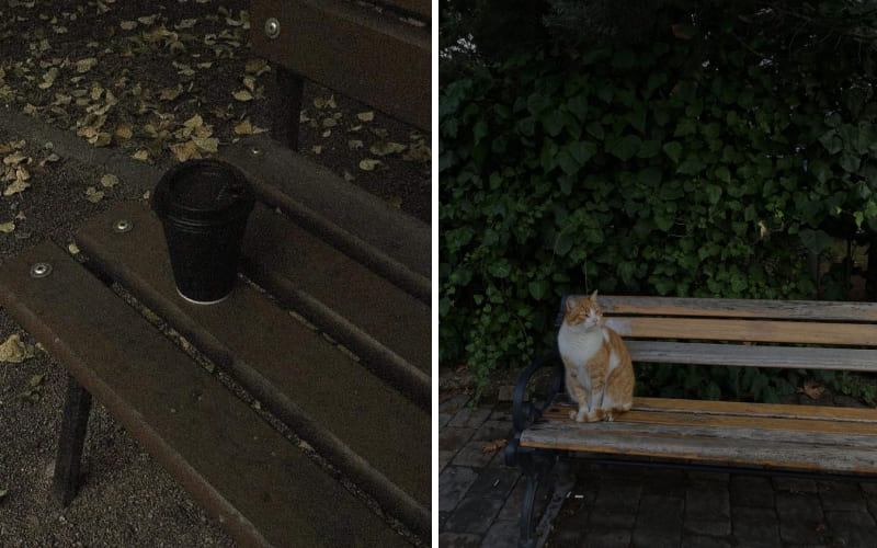 Đồ vật có vẻ cô đơn