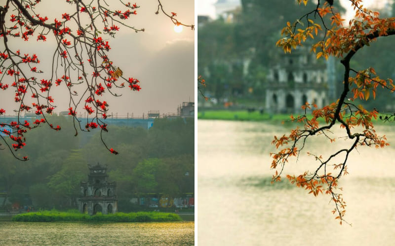 Canh thu đẹp tại hồ gươm