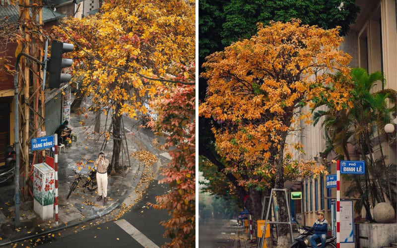 Góc thu phố Hà Nội