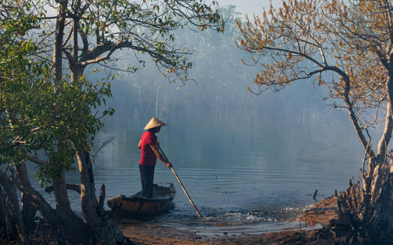 Màu thu đượm buồn