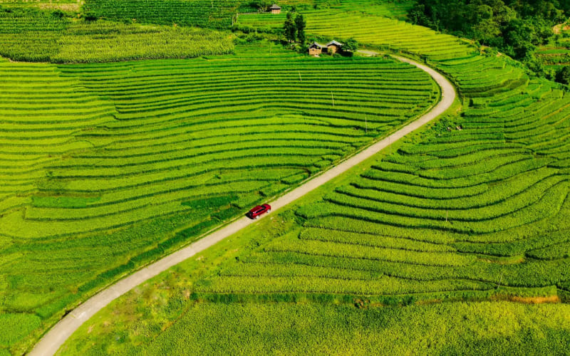 Cảnh thu đẹp xanh mướt