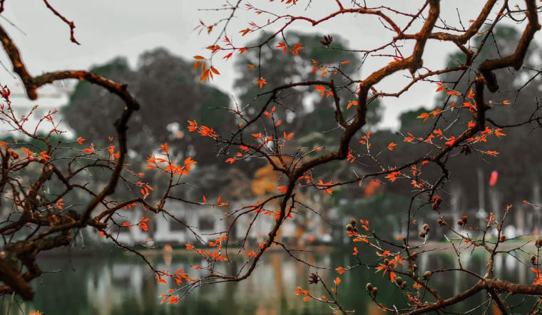 Bộ sưu tập 100+ hình ảnh mùa thu đẹp, lãng mạn