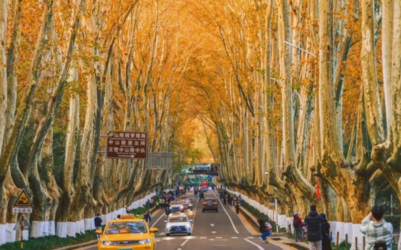 Con đường Thu tại Trung Quốc