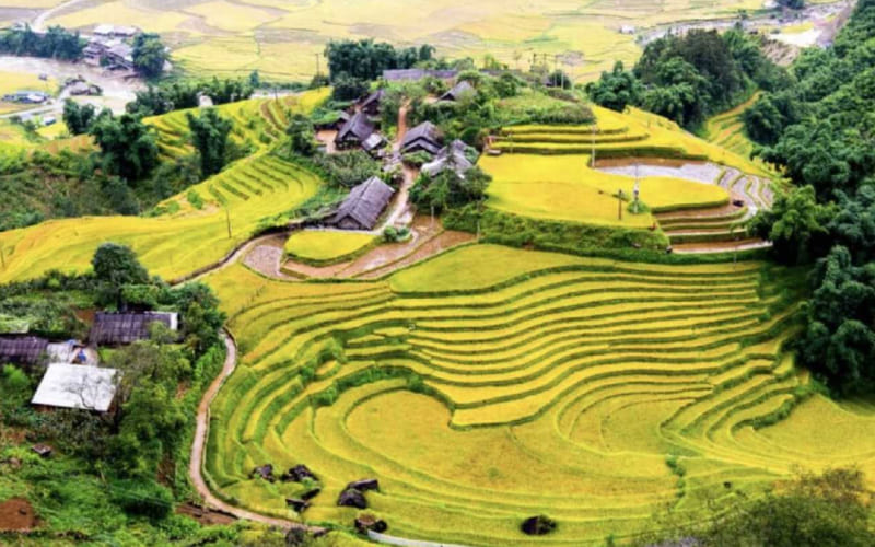 Ruộng bậc thang mùa Thu cực phẩm