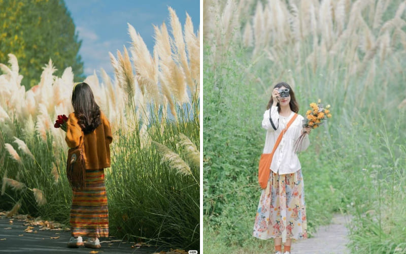 Mùa thu dịu nhẹ bên cô gái