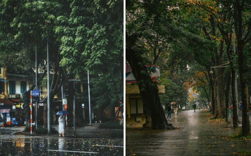 Thu buồn sau những cơn mưa