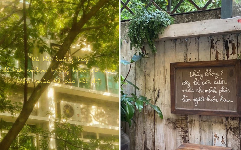 Cảnh thu thơ mộng và lời gửi gắm