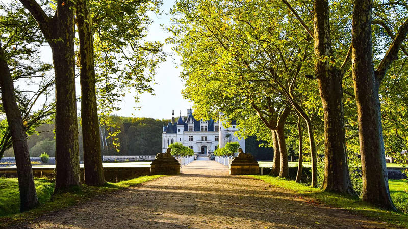 Mùa thu trên đất Pháp