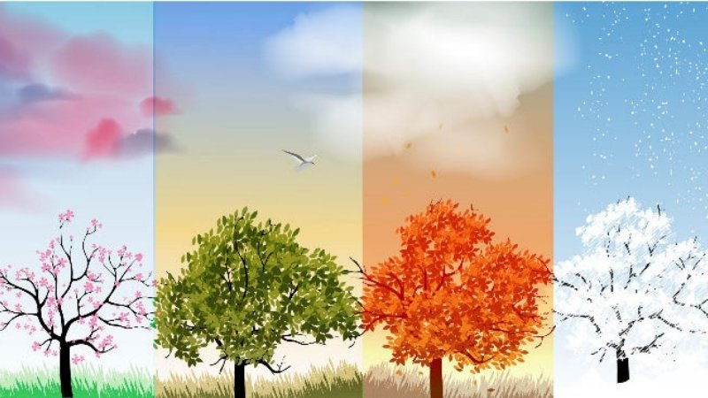 Ứng dụng thơ 24 tiết khí trong giáo dục và văn hóa