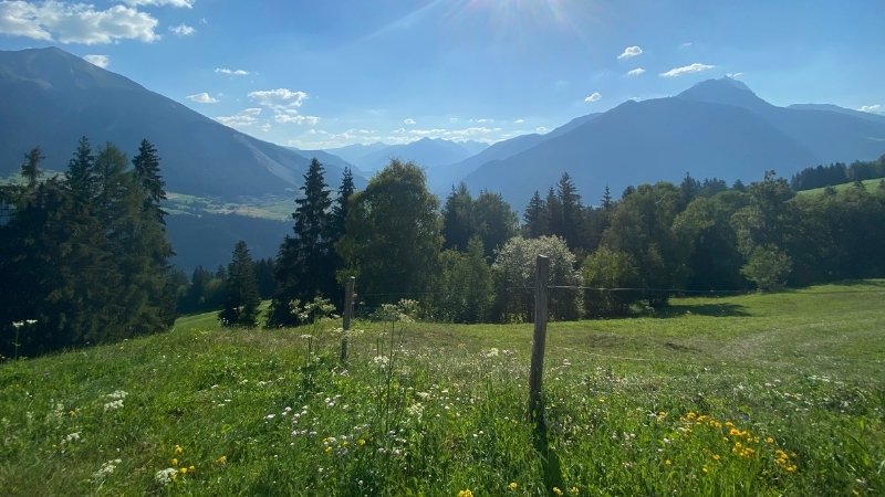 Thơ về tiết khí mùa Hạ 2