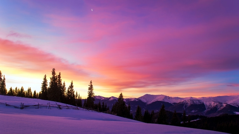 Thơ về tiết khí mùa Đông 1