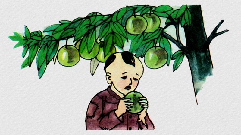 Ý nghĩa và bài học từ sự tích Cây Vú Sữa