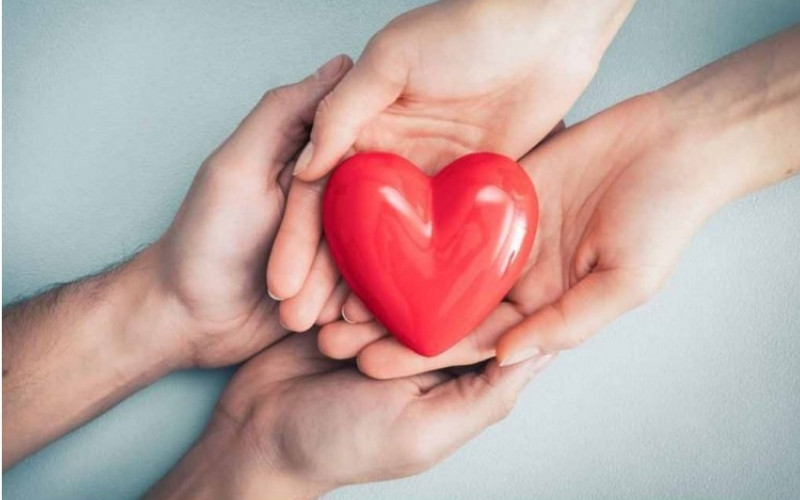 Lòng nhân ái không chỉ mang lại niềm vui mà còn kết nối và chữa lành trái tim con người Lòng nhân ái không chỉ mang lại niềm vui mà còn kết nối và chữa lành trái tim con người