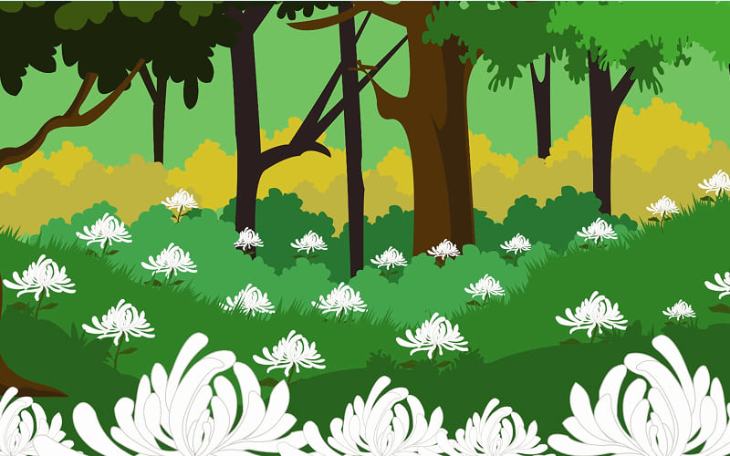 Phép màu và sự ra đời của hoa cúc Phép màu và sự ra đời của hoa cúc