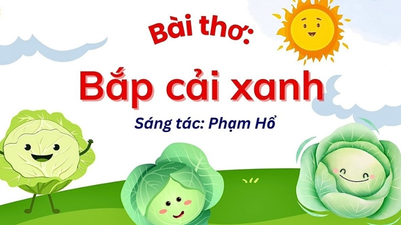 Bài thơ Bắp Cải Xanh
