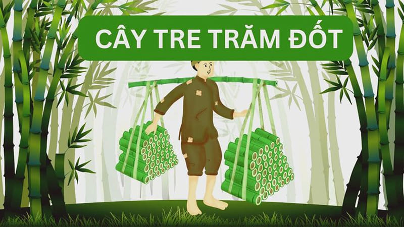 Cây tre trăm đốt Cây tre trăm đốt
