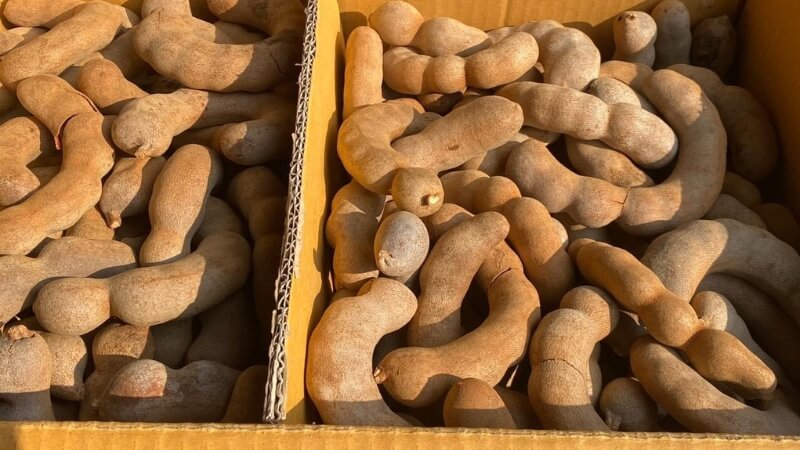 Cách ăn và bảo quản me Thái dốt bột