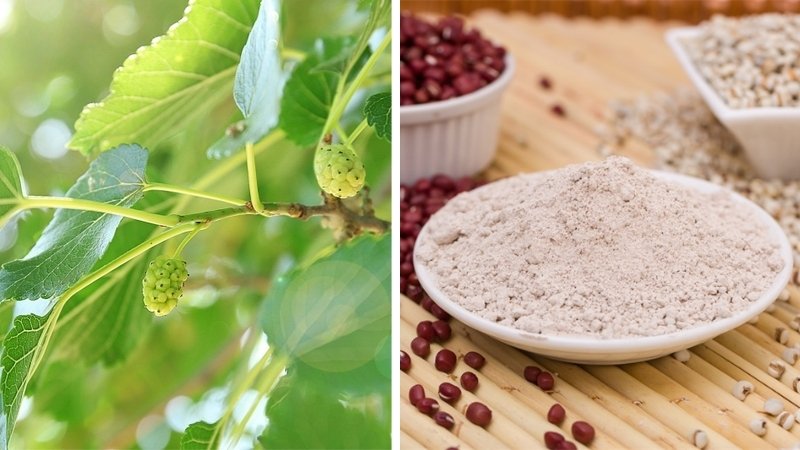 Lá dâu tằm và bột đậu đỏ Lá dâu tằm và bột đậu đỏ