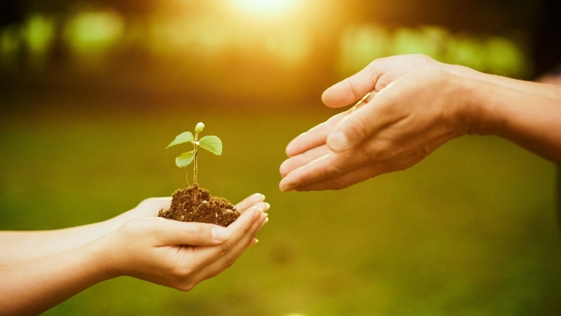 Những bài thơ 2 câu về cuộc sống bình yên mang đến cảm giác nhẹ nhàng