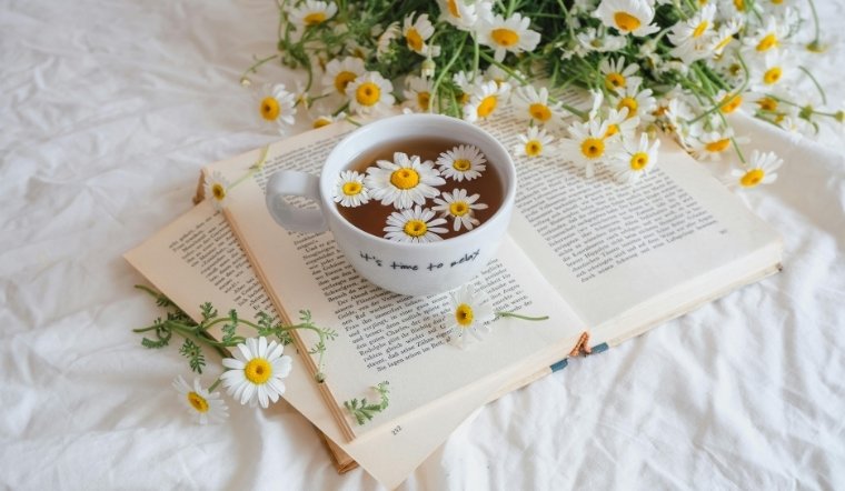 Tuyển chọn 20+ câu thơ hay về cuộc sống, chữa lành tâm hồn