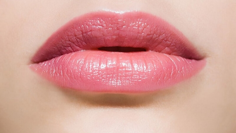 Tại sao hồng baby được yêu thích Tại sao hồng baby được yêu thích