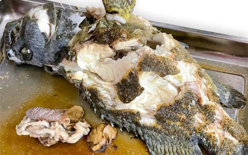 Giá trị dinh dưỡng của cá song hổ