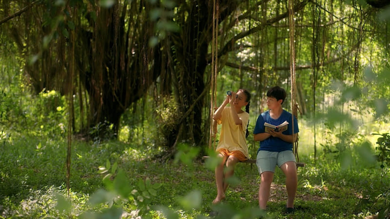 Ý nghĩa phim Cách Em 1 Milimet