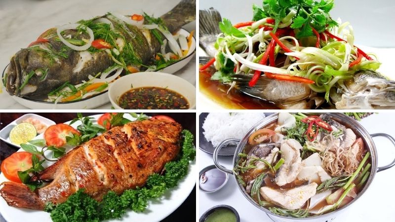 Cá song biển làm món gì ngon?