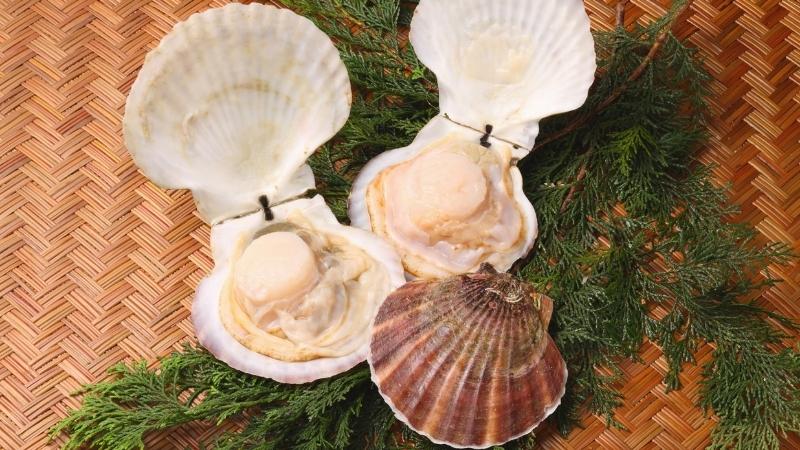 Sò điệp Hokkaido có nguồn gốc từ vùng biển lạnh quanh đảo Hokkaido, Nhật Bản Sò điệp Hokkaido có nguồn gốc từ vùng biển lạnh quanh đảo Hokkaido, Nhật Bản