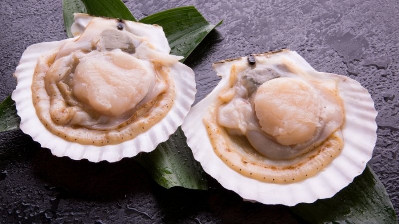 Cồi sò điệp đông lạnh có thể làm sashimi Cồi sò điệp đông lạnh có thể làm sashimi